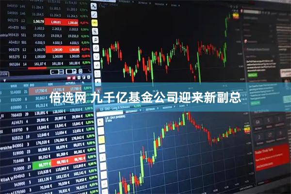 倍选网 九千亿基金公司迎来新副总