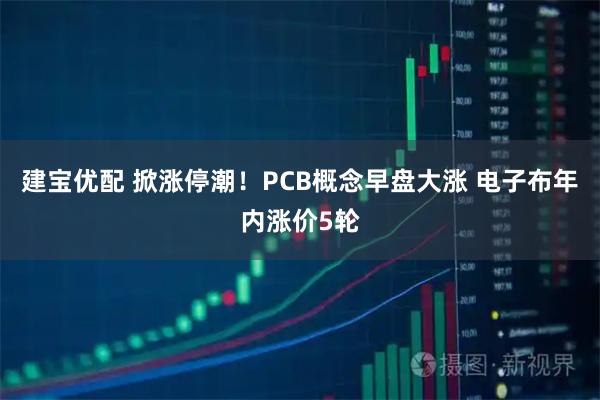 建宝优配 掀涨停潮！PCB概念早盘大涨 电子布年内涨价5轮