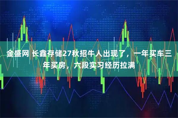 金盛网 长鑫存储27秋招牛人出现了,一年买车三年买房,六段实习经历拉满